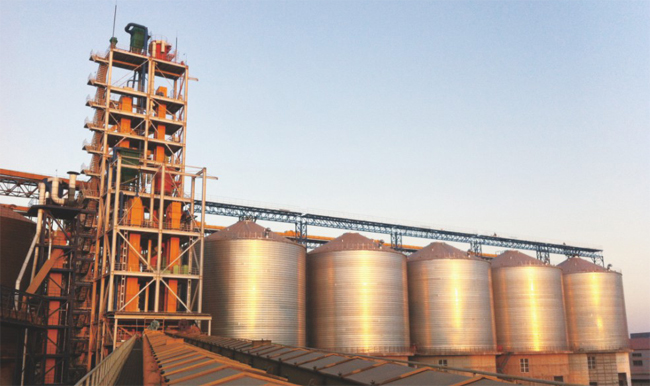 山東北大荒糧食倉儲物流建設總承包項目