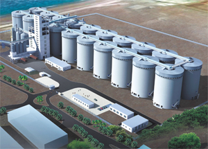 阿聯酋糧食戰略儲備項目