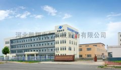 美女内射无套日韩免费播放